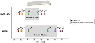 Neural Correlates of Vestibular Processing During a Spaceflight Analog With Elevated Carbon Dioxide (CO2): A Pilot Study